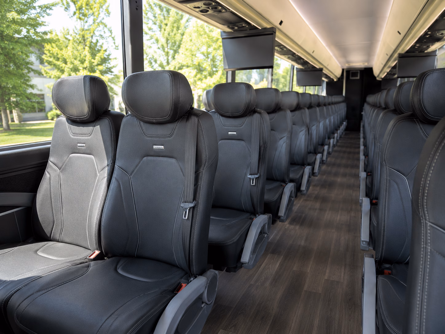 school buses for dallas zoo field trips from lewisville